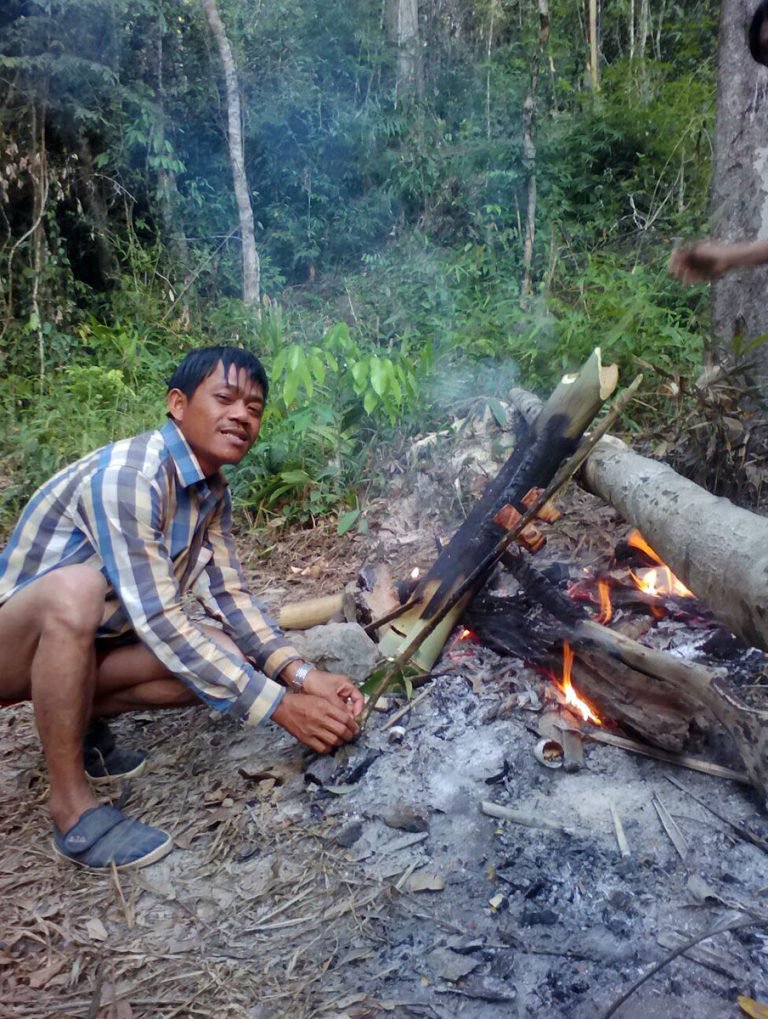 food fire in jungle