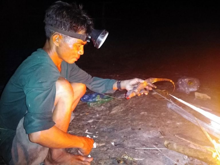 free walking at night