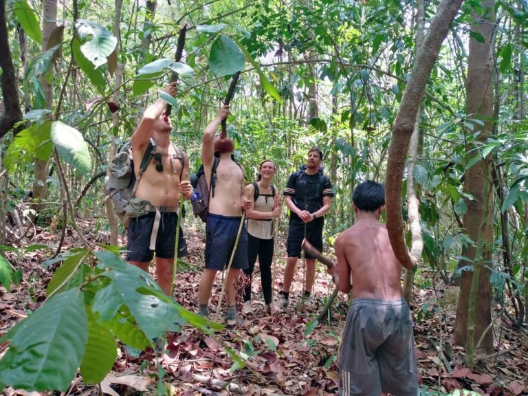 fresh water in ratanakiri jungle