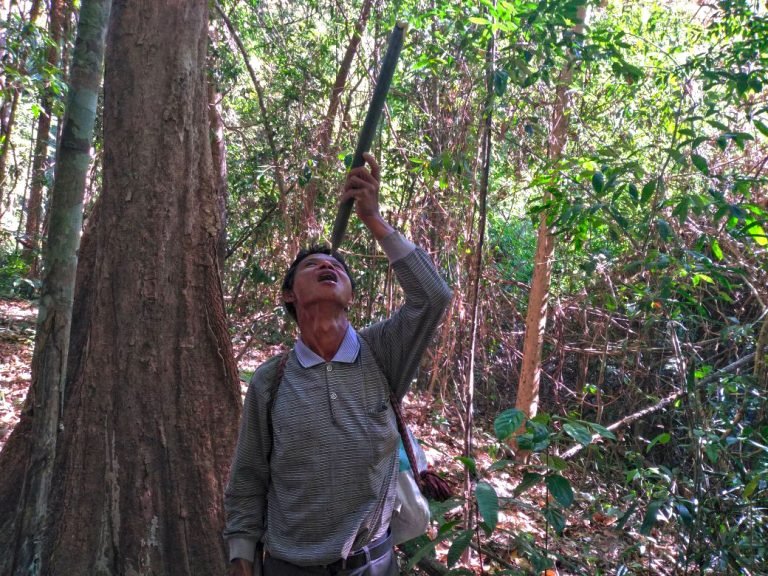 fresh water in ratanakiri jungle