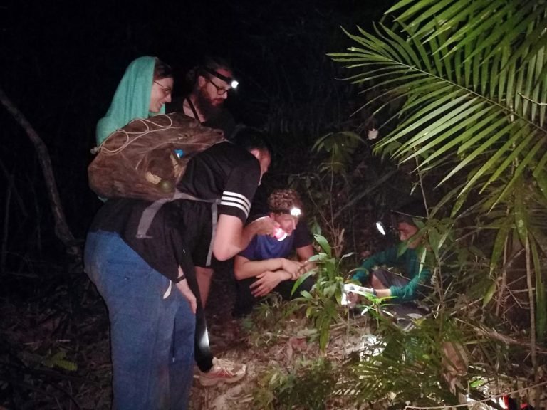 night trekking ratanakiri jungle