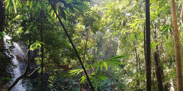 ratanakiri jungle waterfall