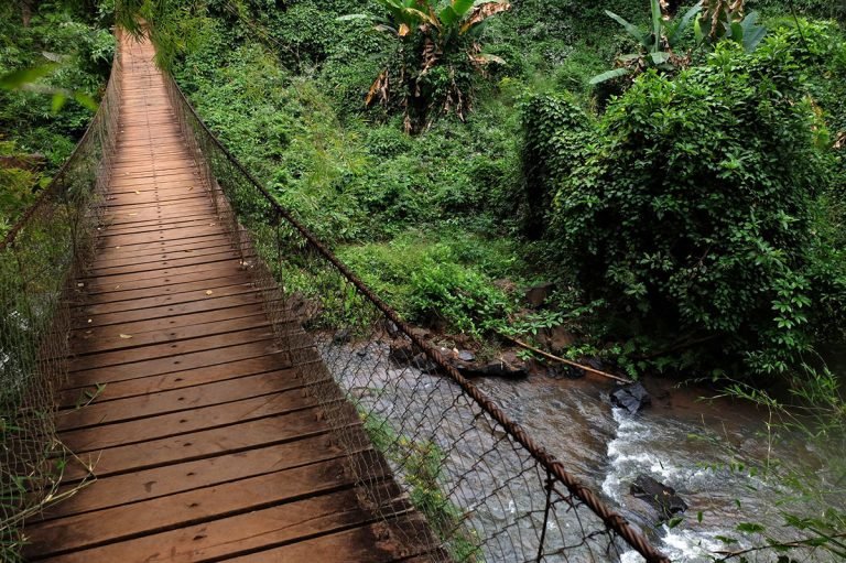 suspension bridge ratanakiri jungle