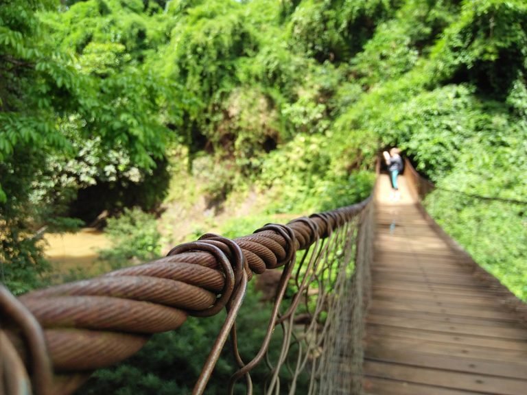 suspension bridge ratanakiri jungle