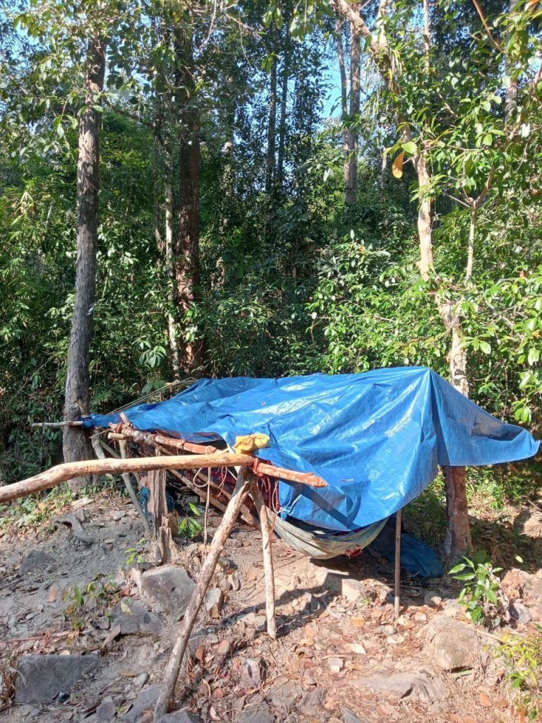 ready for night time rest in the jungle